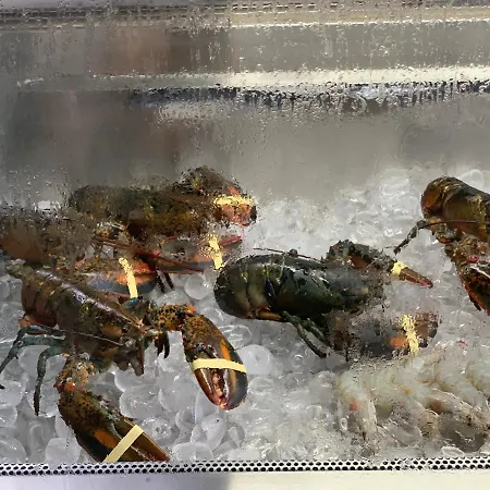 Aqua Rossa 2* Kókkinon Nerón