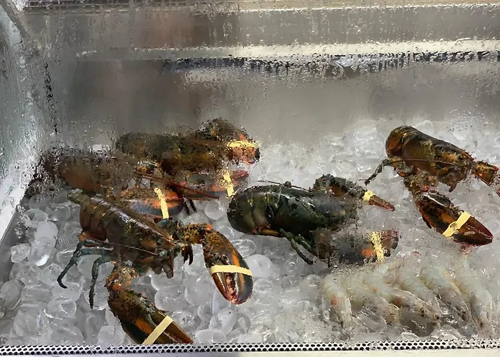 Aqua Rossa 2* Kókkinon Nerón